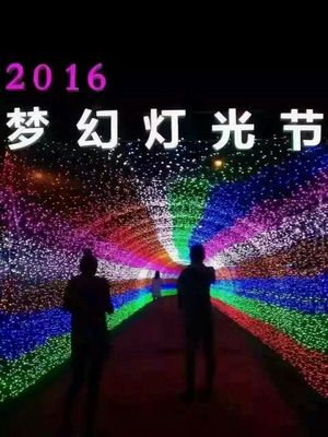 光影賦能，點亮景區新視界 探訪大型燈光藝術產品的制作、租售與景觀藝術融合